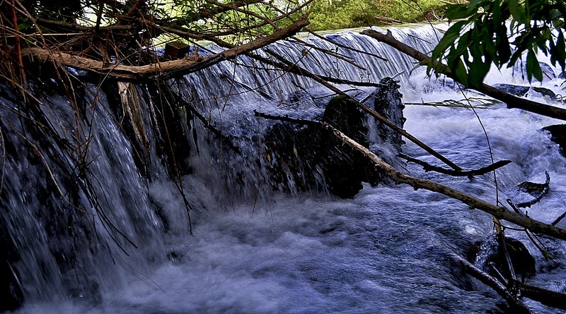 זרמים וגוונים