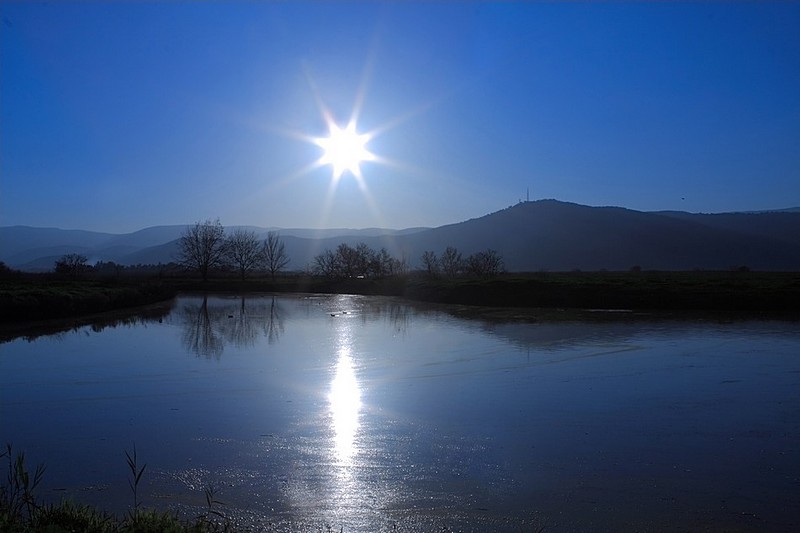 *כוכב השחר***