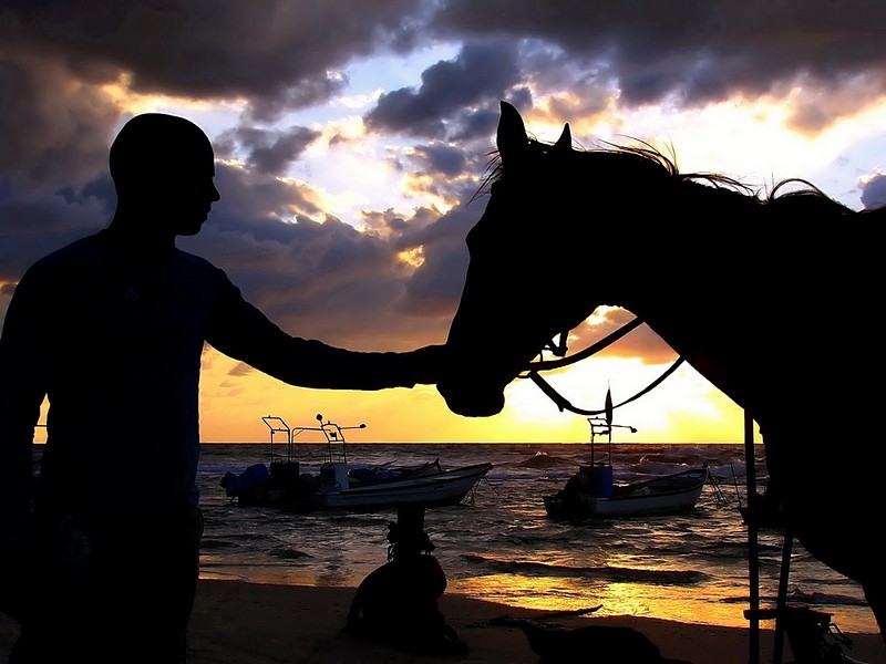 שיר  אהבה  פשוט ...