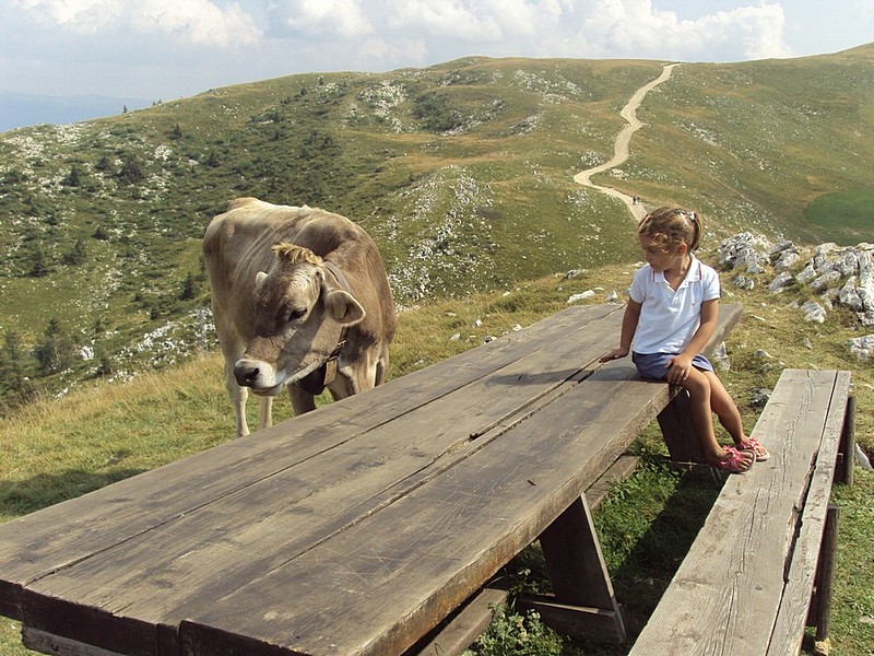 גילוי עולמות
