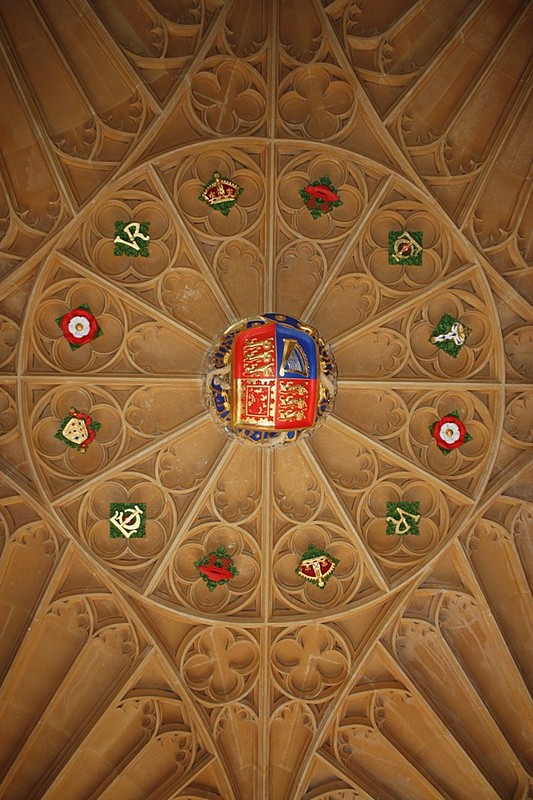 צילום: דולב חיוט