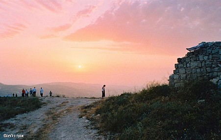צילום: אסף כלפה