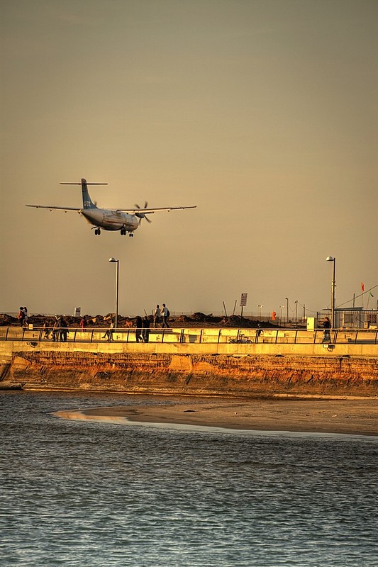 צילום: רון לוי