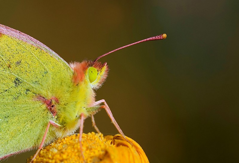 על קצות האצבעות