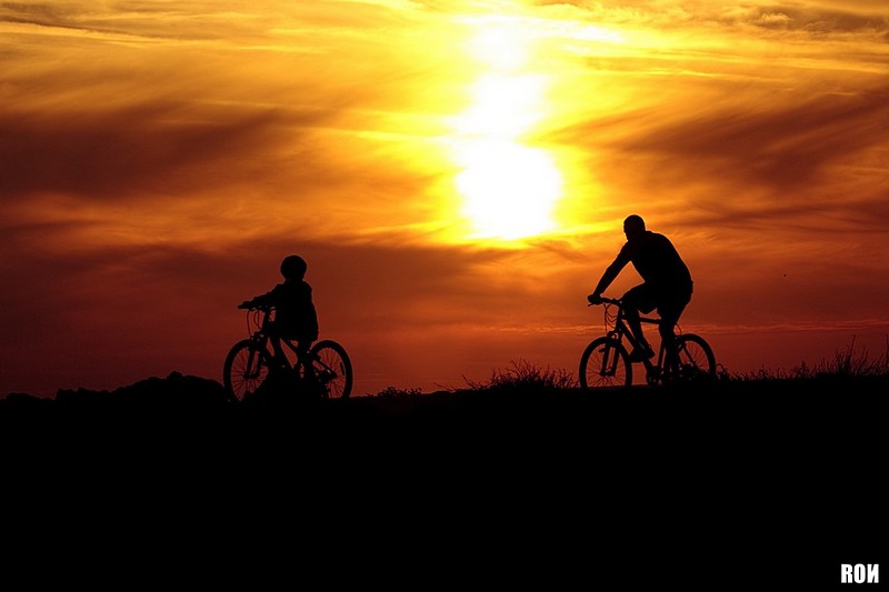 צילום: רון לוי