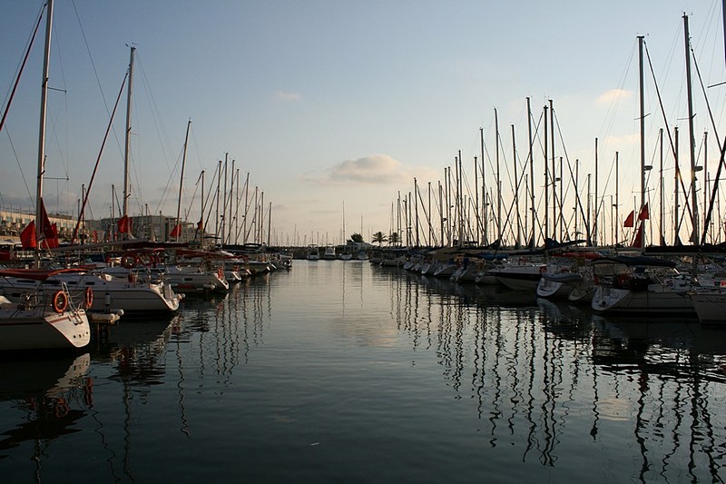 צילום: יובל שריר