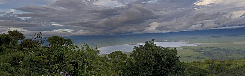 מכתש נגורו-גורו