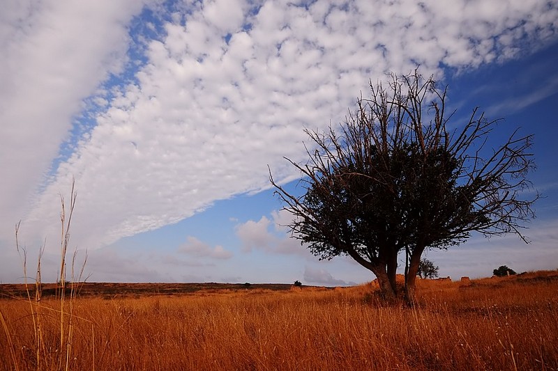 מעונן חלקית