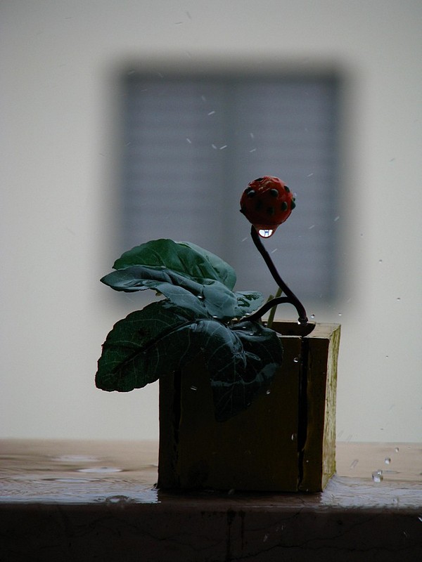 צמא של פלסטיק