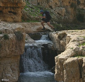 צילום: אבנר פניני