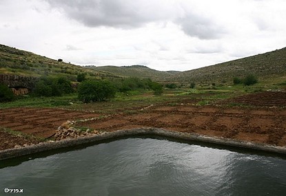 צילום: אבנר פניני