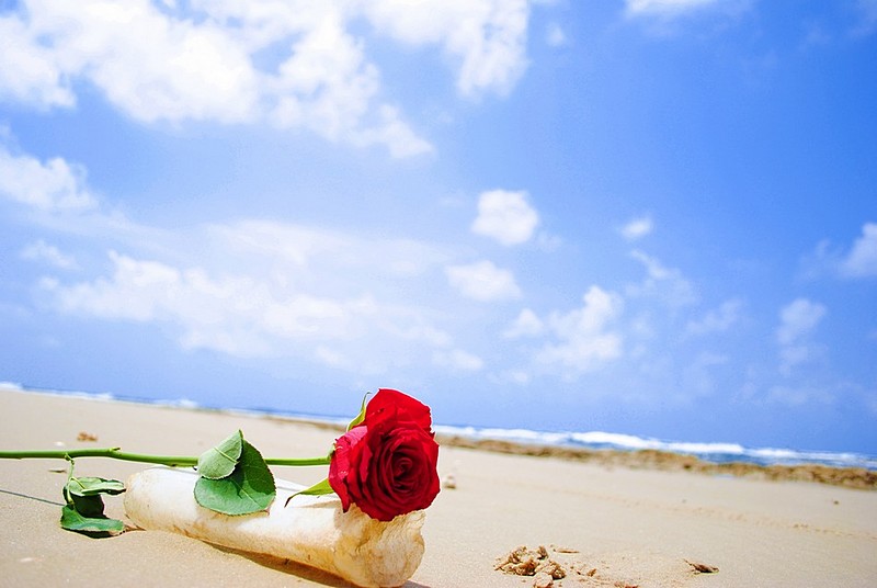 צילום: דייזי מומיקה