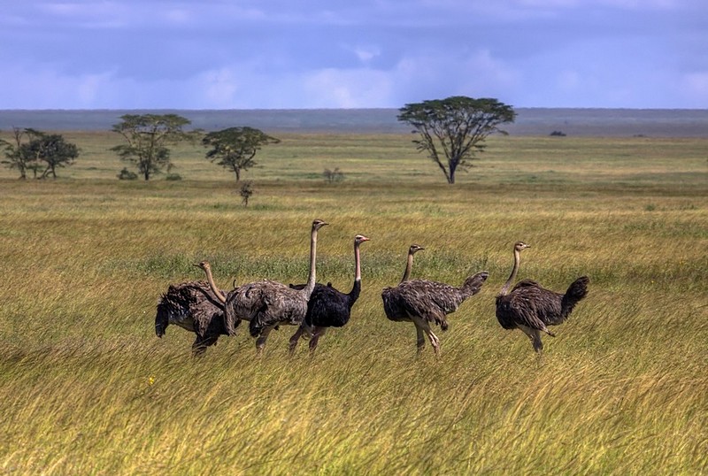 אחת נגד הכיוון