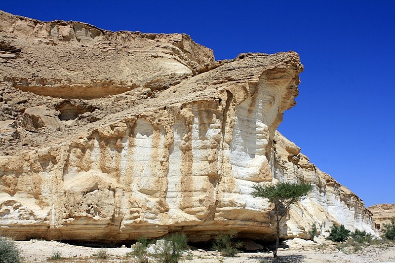 הכחול שבמדבר