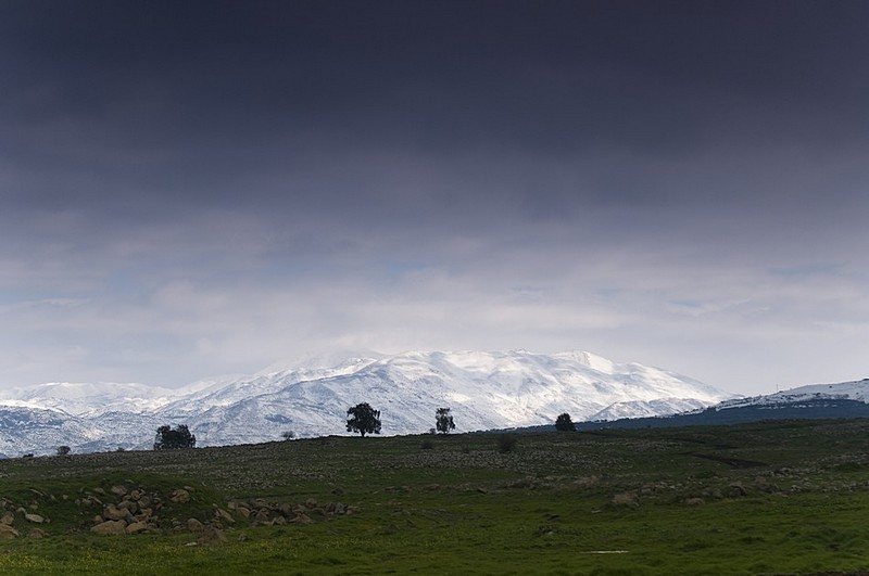 געגועים לחורף