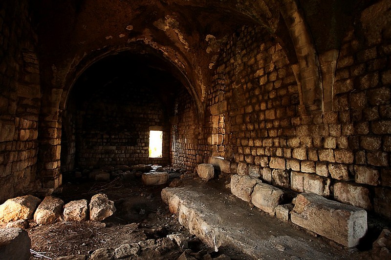 צילום: רון אונה