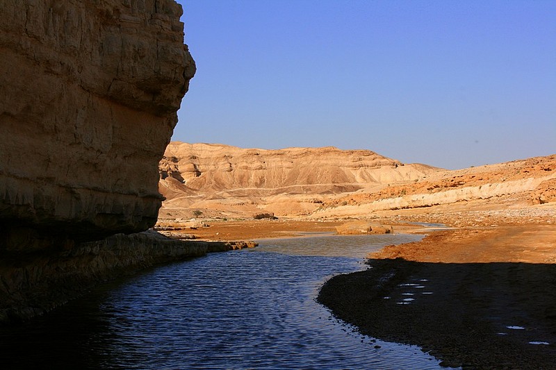 אור וצל במדבר