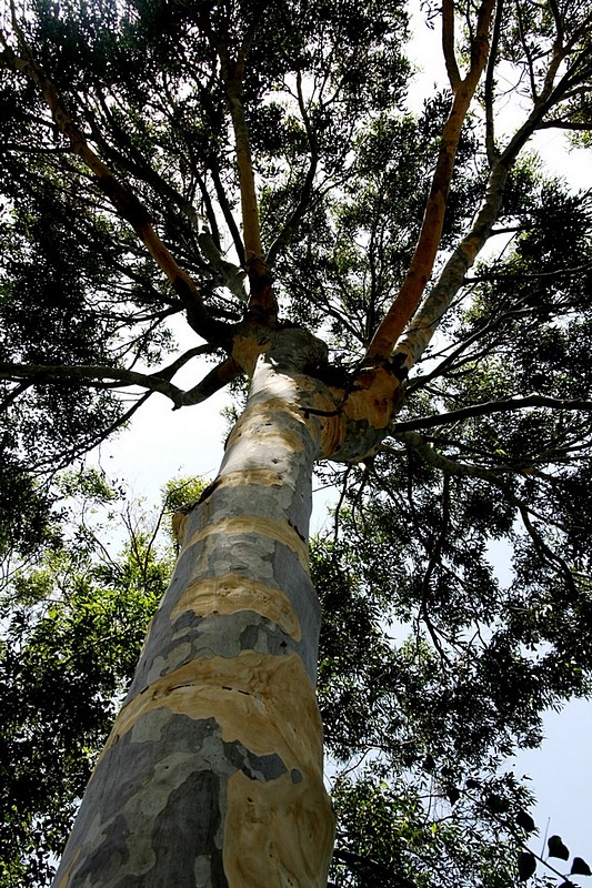 צילום: אדריאנה גורן