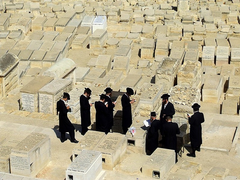 אברכים בהר הזיתים