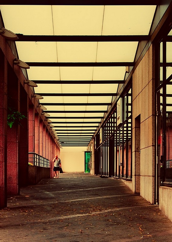 החיים כמיסדרון