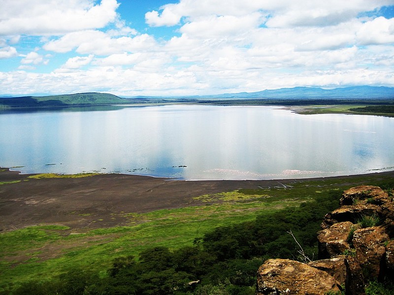 צילום: עוז לוי