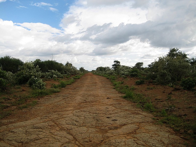 צילום: עוז לוי