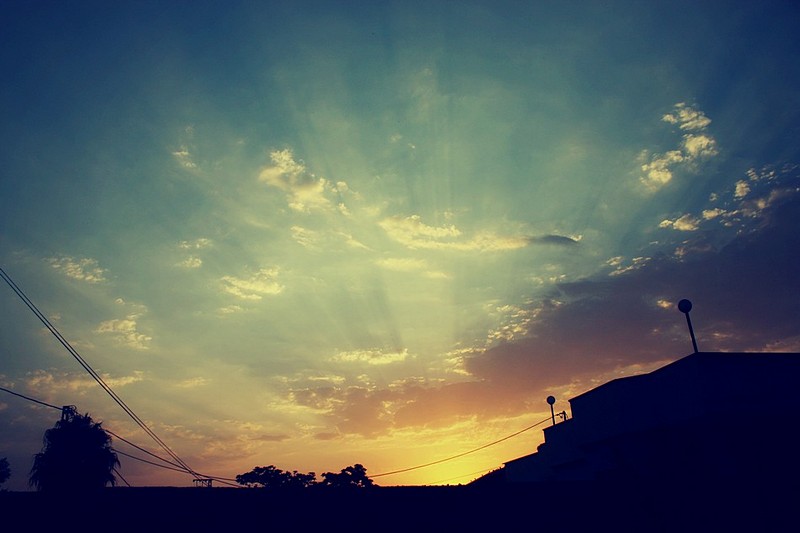 צילום: דולב חיוט