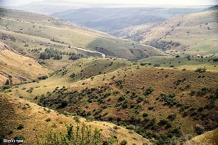 צילום: אסף כלפה