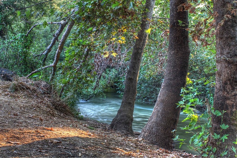 צילום: אור אלכסנברג