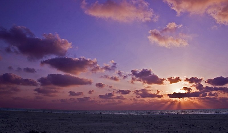 קרניים  אחרונות