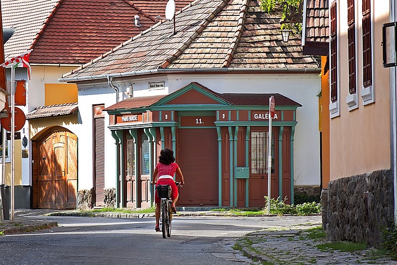 צילום: אבי מילמן