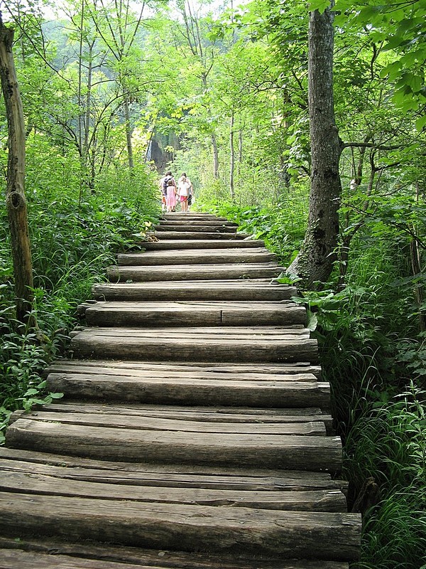 במעלה המדרגות