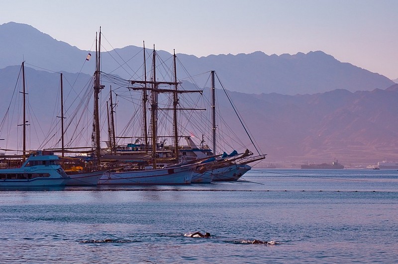 פותחים את הבוקר