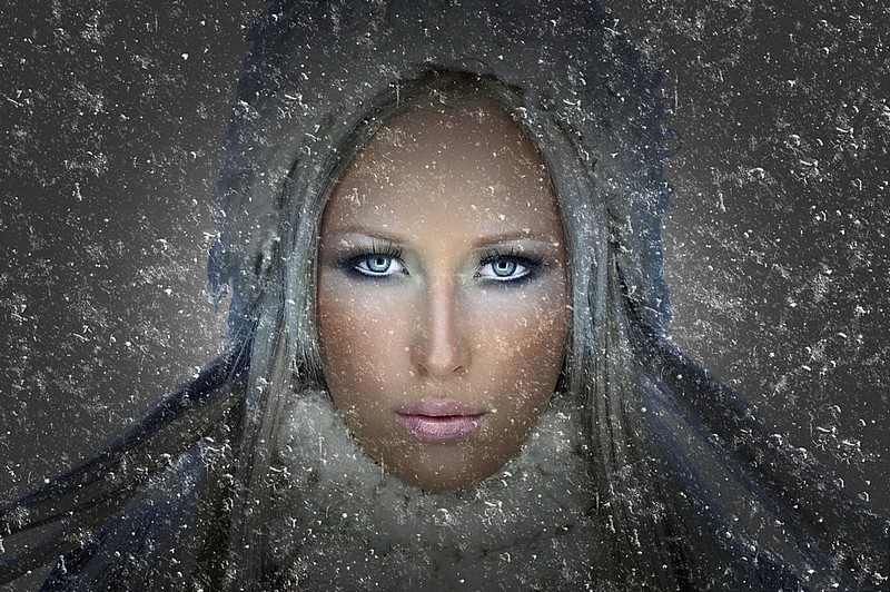 תמונות מקצועות