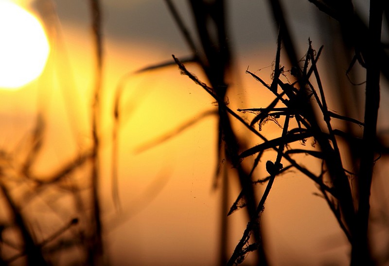 שקיעה ראשונה תשע"א