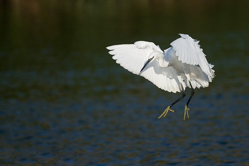 אנפה, תני חיבוק אוהב!!