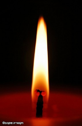 תמונות של אש | תמונות לעיצוב הסלון, הבית והמשרד | עמוד 3