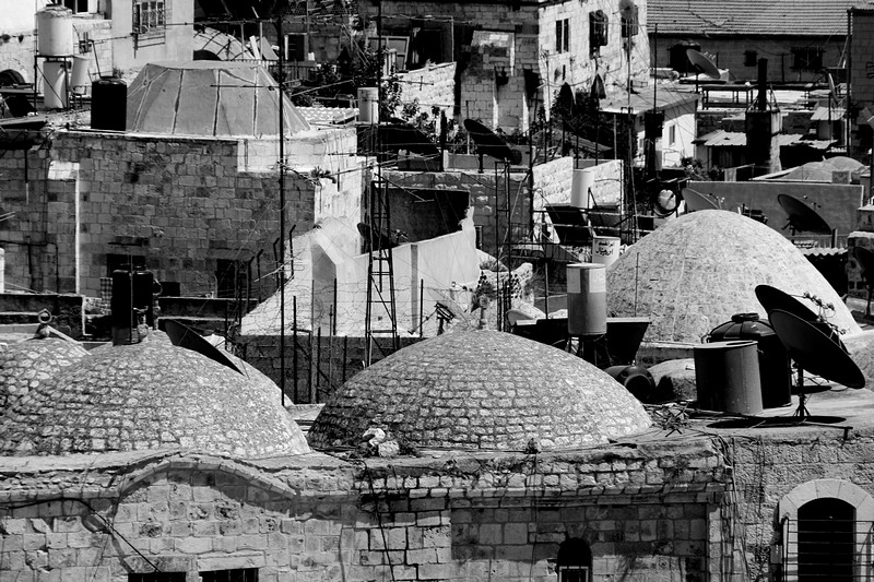 צילום: אדריאנה גורן