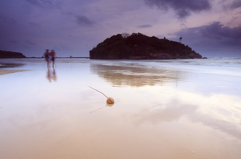 המרוץ בגן עדן