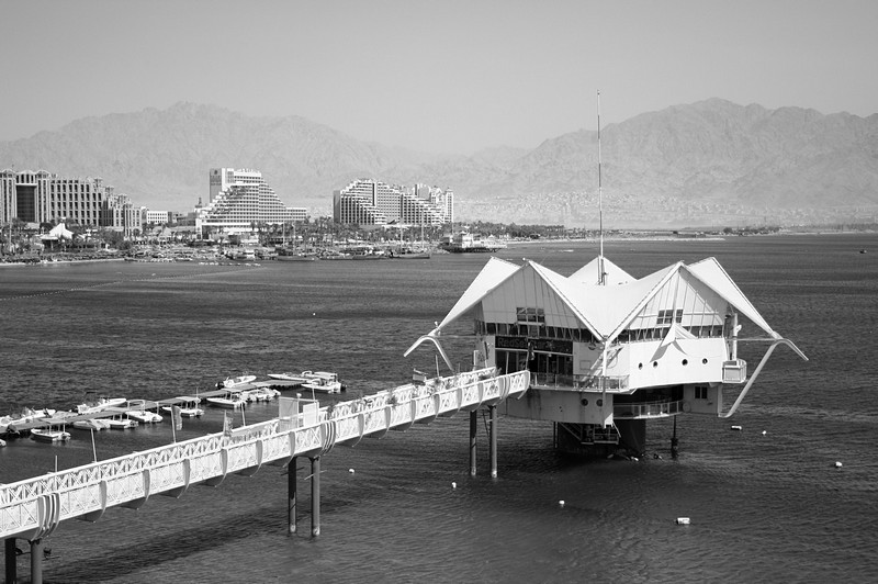 צילום: טל יפה