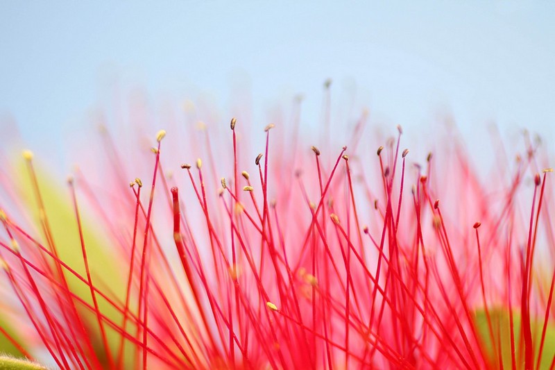 צילום: אור אלכסנברג