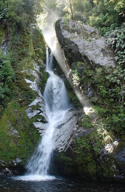 צילום: arnon roman