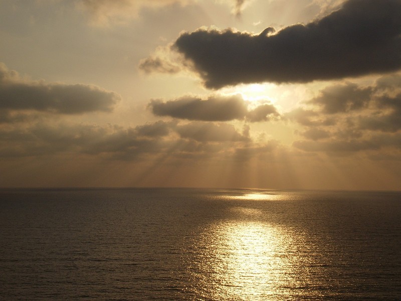 צילום: חן כהן