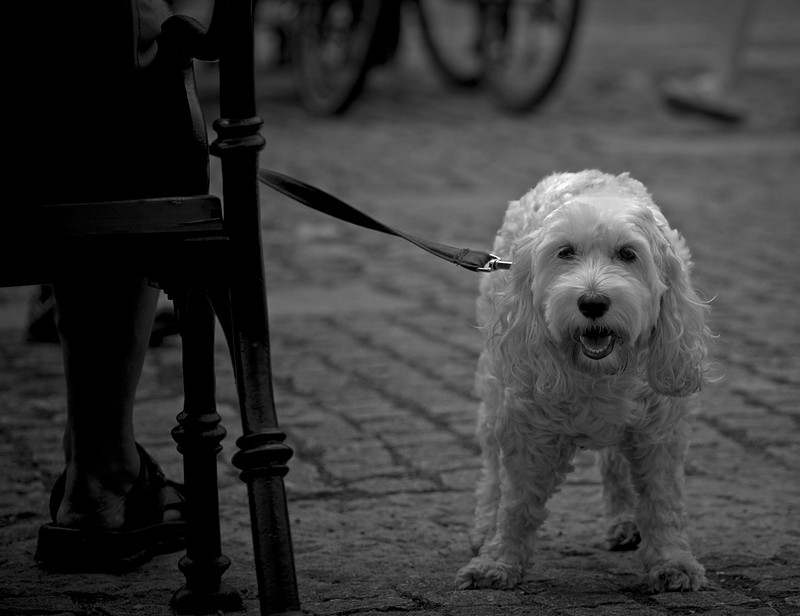 שחררו אותי!!