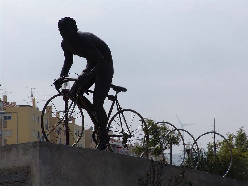 צילום: דוד מנדס