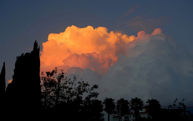 גלידה  אמריקאית