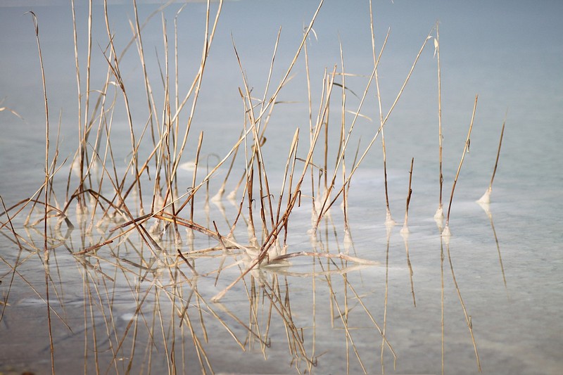 צילום: יגאל  שלהבת