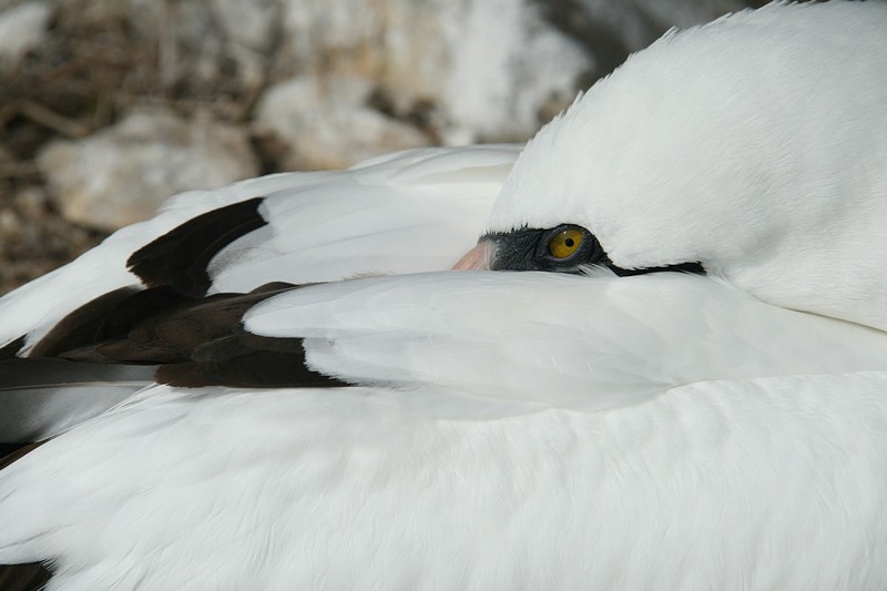 צילום: אריק ברנשטיין