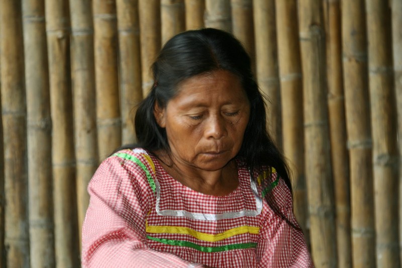 צילום: אריק ברנשטיין