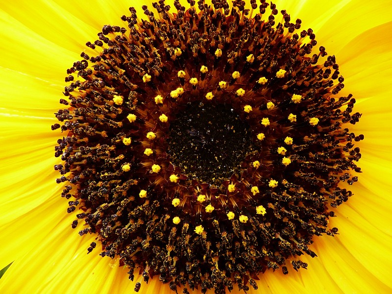 איפה הגרעין?